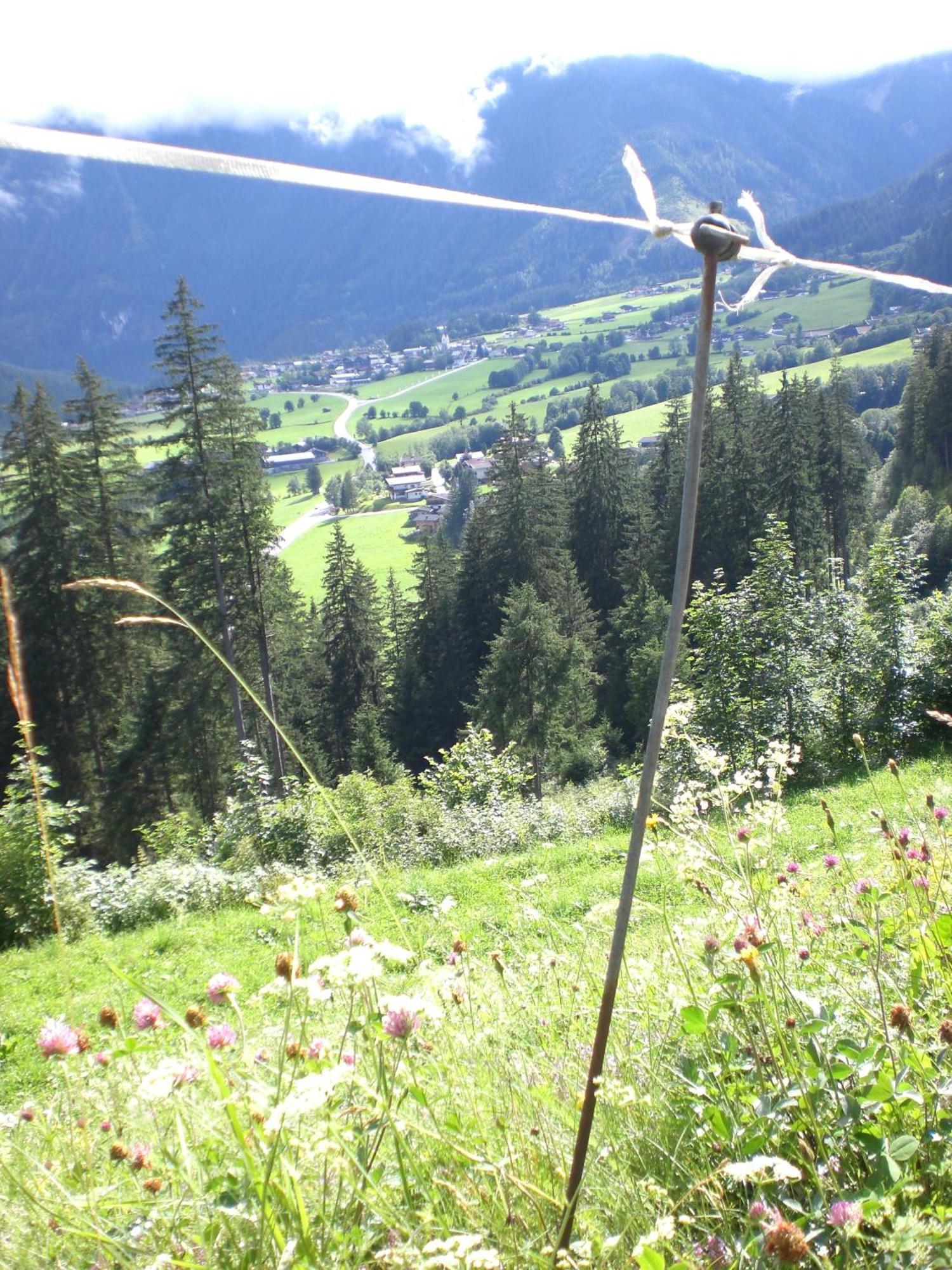 Gruppen Und Familienhof Falkenstein Hotel Krimml Luaran gambar